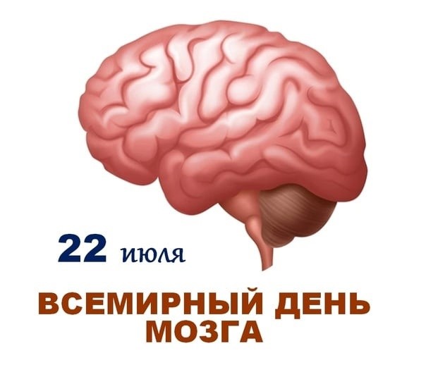 Причины ухудшения памяти и работы мозга